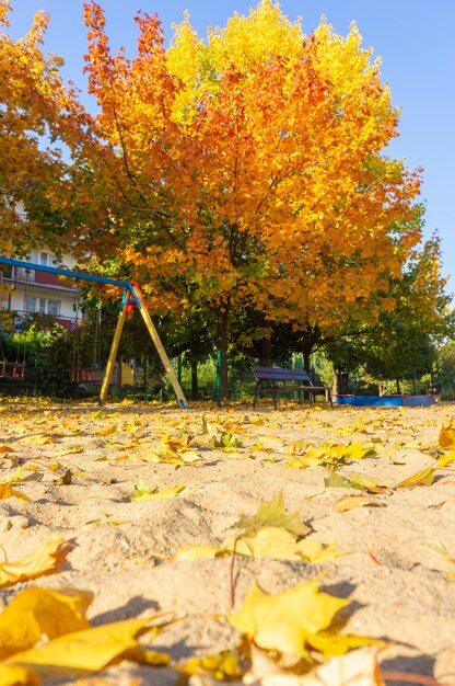 Pionowe ujęcie placu zabaw w parku z kolorowymi liśćmi w ziemi jesienią