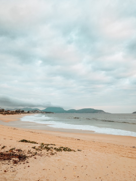 Pionowe ujęcie plaży otoczonej morzem pod zachmurzonym niebem w Rio de Janeiro w Brazylii