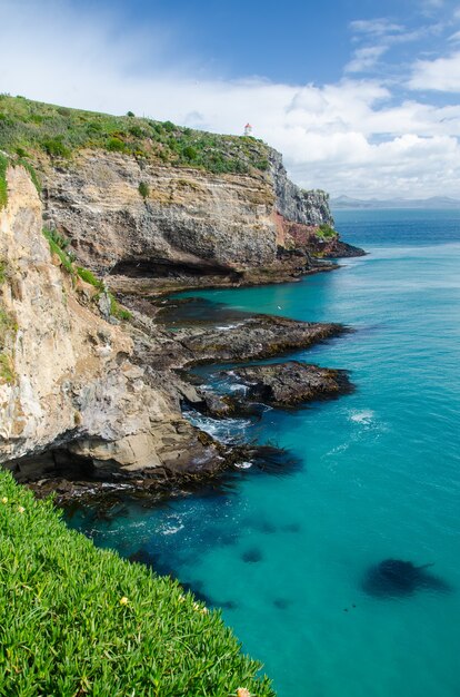 Pionowe ujęcie plaży Tunnel Beach w Dunedin w Nowej Zelandii