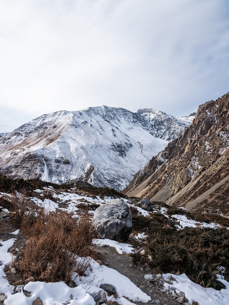 Pionowe ujęcie pokrytych śniegiem skał ze szczytu góry