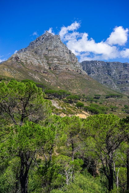 Pionowe ujęcie słynnej góry stołowej w Kapsztadzie w RPA
