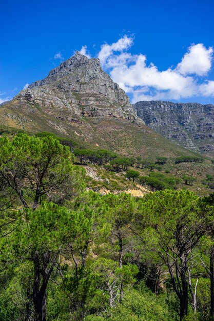 Pionowe ujęcie słynnej góry stołowej w Kapsztadzie w RPA