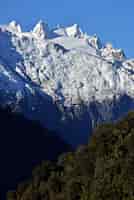 Bezpłatne zdjęcie pionowe ujęcie śnieżnej góry i lasu