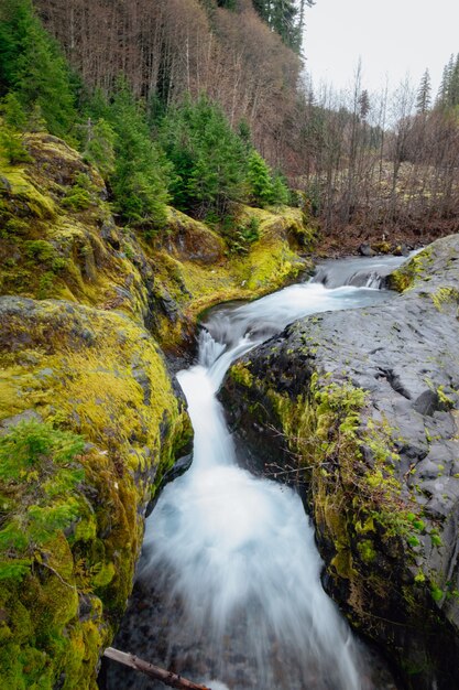 Pionowe ujęcie szlaku Lava Canyon, Stevenson