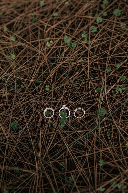 Pionowe ujęcie trzech pierścieni ułożonych na powierzchni małych wąskich drewnianych gałęzi
