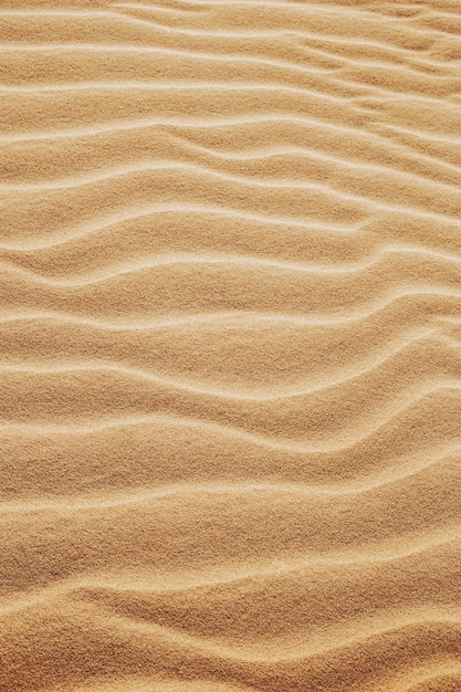 Pionowe ujęcie wzorów na piaskach na pustyni