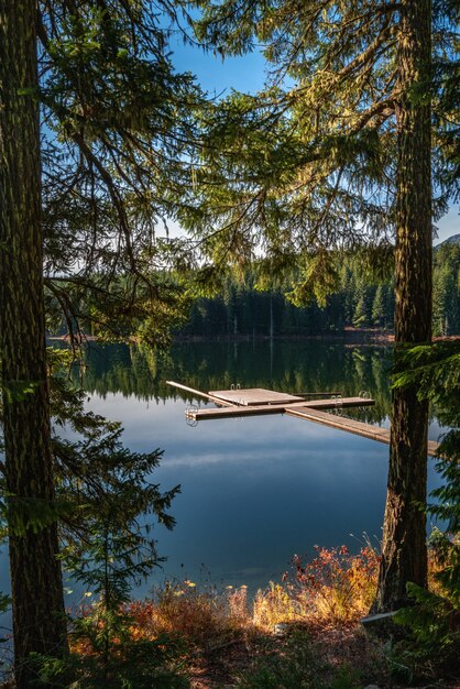 Pionowe ujęcie zielonej scenerii odbijającej się w Lost Lake w Whistler BC Kanada