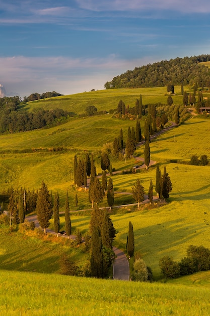Bezpłatne zdjęcie pionowe ujęcie zielonych pól otoczonych wzgórzami na wsi