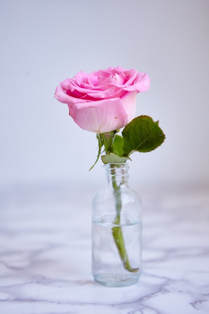 Pionowe zbliżenie strzał pięknej różowej róży w małym szklanym słoju