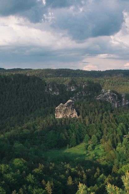Pionowy wysoki kąt strzału skalistego urwiska w środku zielonego lasu drzew w Saksonii w Szwajcarii