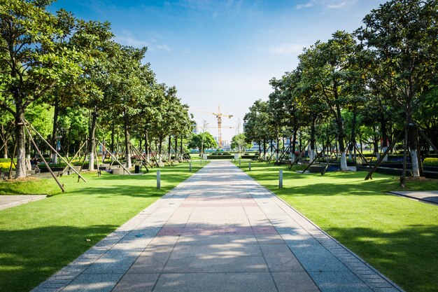 Plac publiczny z pustym dróg w centrum miasta