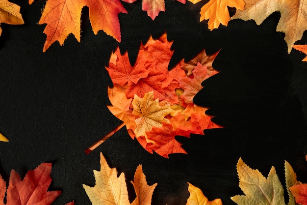 Płaski kształt liścia w sezonie jesiennym