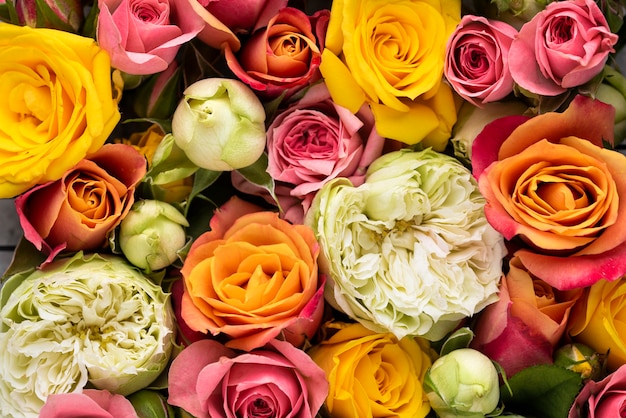 Bezpłatne zdjęcie płaski układ pięknie kwitnących kolorowych kwiatów