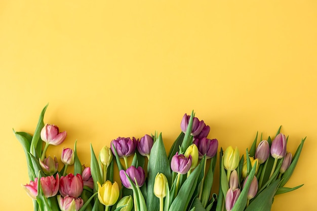 Bezpłatne zdjęcie płaskie świeckie tulipany na kolorowym tle