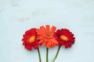 Bezpłatne zdjęcie płaskie ukształtowanie kwiatów z copyspace