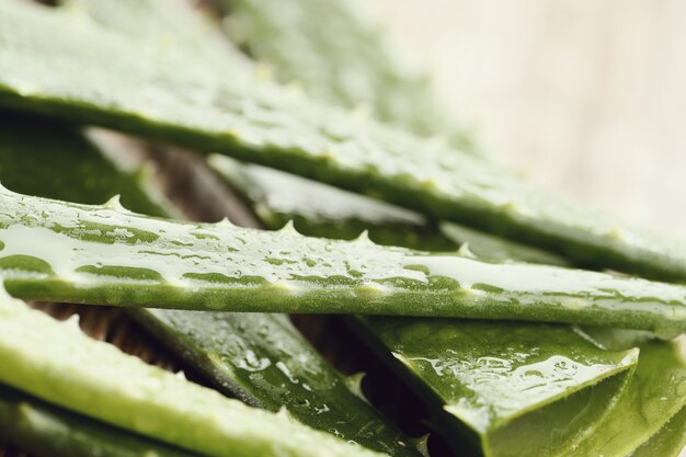 Plasterki Aloe Vera do pielęgnacji skóry