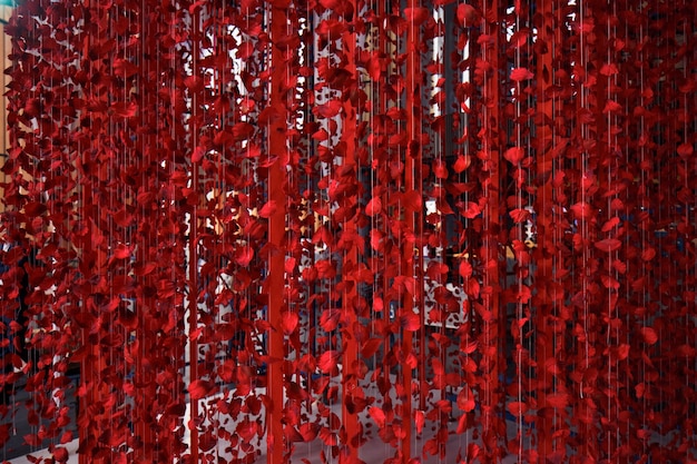 Płatki róży czerwone wisi na nitkach z sufitu
