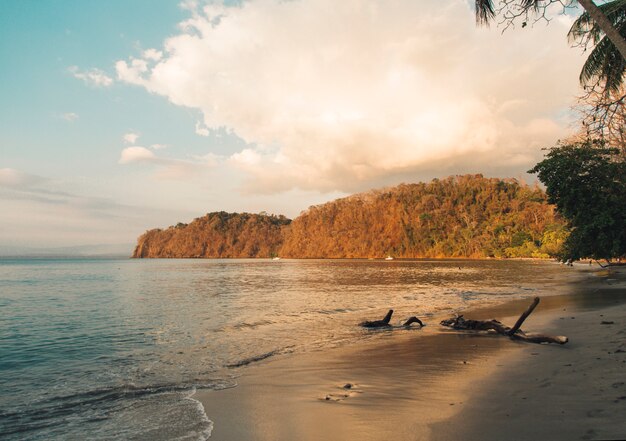 Plaża i spokojny ocean w świetle słońca