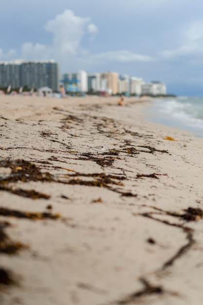 Bezpłatne zdjęcie plaża miami floryda usa, wybrzeże