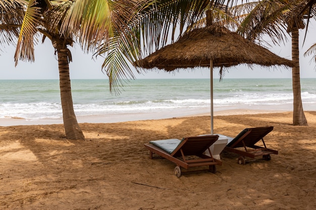 Plaża w Gambii ze strzechą parasolami, palmami i leżakami z morzem w tle