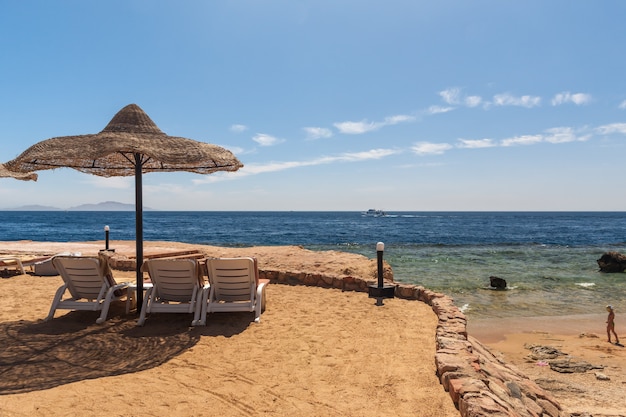 Plaża w luksusowym hotelu Sharm el Sheikh w Egipcie