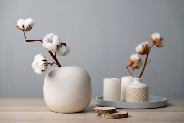 Bezpłatne zdjęcie płytka roślina bawełniana w wazonie używana do dekoracji wnętrz