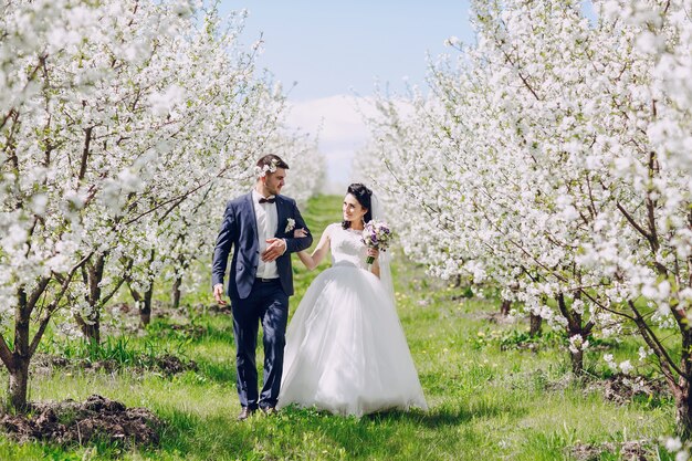 Po prostu żonaty para spaceru wśród kwitnących drzew