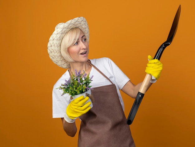 Pod wrażeniem kobieta ogrodniczka w średnim wieku w mundurze ogrodnika w kapeluszu i rękawiczkach ogrodniczych, trzymająca doniczkę i łopatę, patrząc na łopatę odizolowaną na pomarańczowej ścianie
