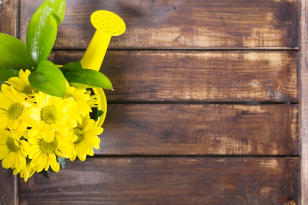 Podlewanie puli i żółte kwiaty