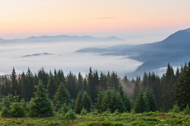 Podróże, trekking. Letni krajobraz - góry, zielona trawa, drzewa i błękitne niebo.