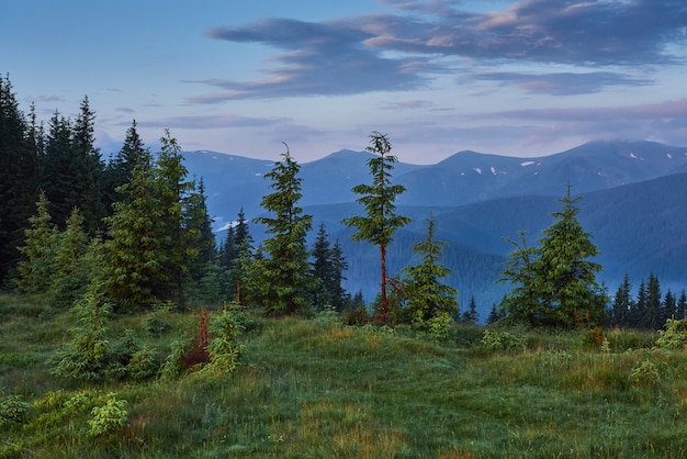 Podróże, trekking. Letni krajobraz - góry, zielona trawa, drzewa i błękitne niebo.