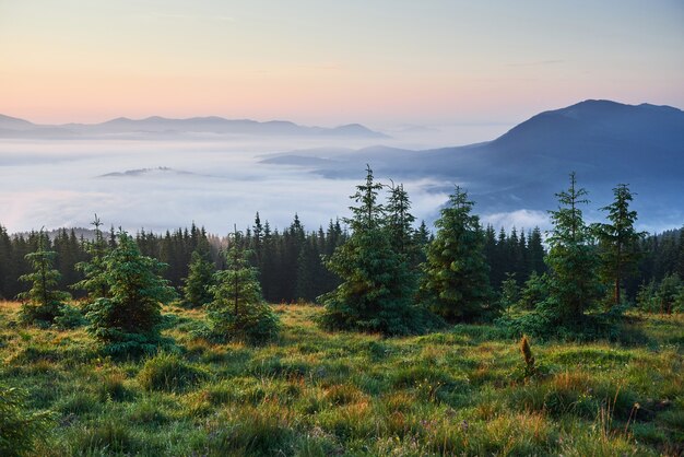 Podróże, trekking. Letni krajobraz - góry, zielona trawa, drzewa i błękitne niebo.