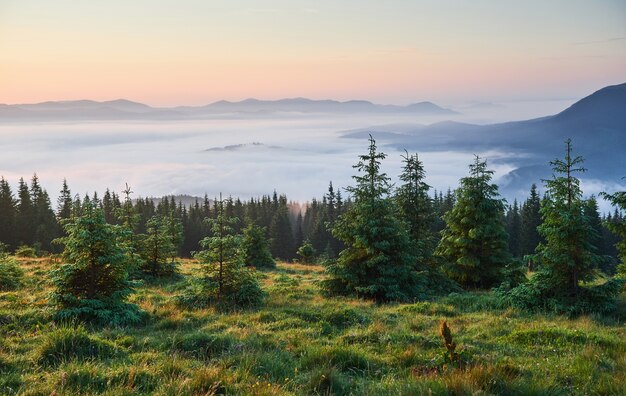 Podróże, trekking. Letni krajobraz - góry, zielona trawa, drzewa i błękitne niebo.