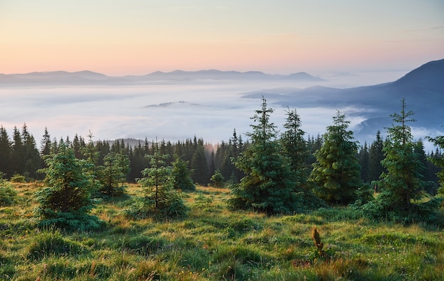 Podróże, trekking. Letni krajobraz - góry, zielona trawa, drzewa i błękitne niebo.