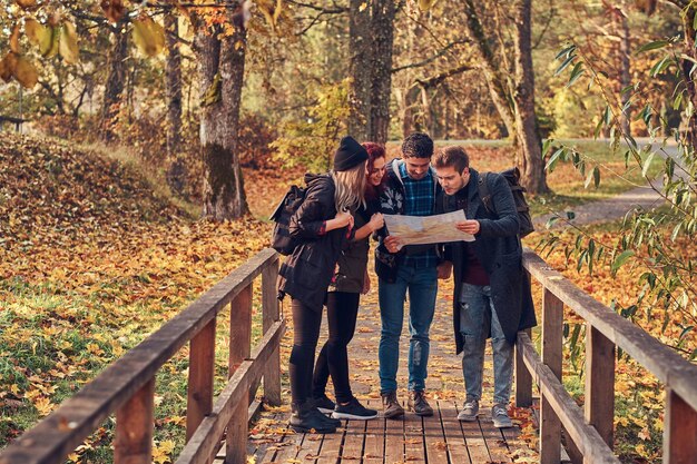 Podróże, turystyka, koncepcja przygody. Grupa młodych przyjaciół wędrujących po jesiennym kolorowym lesie, patrząc na mapę i planując wędrówkę.