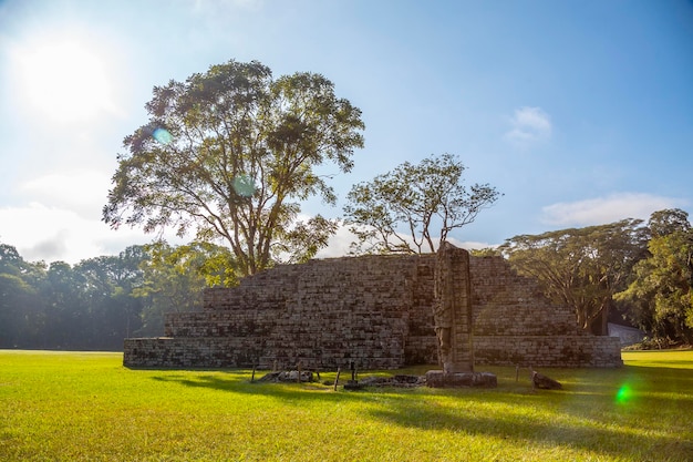 Podświetlenie Piramid Majów W świątyniach The Copan Ruins Honduras