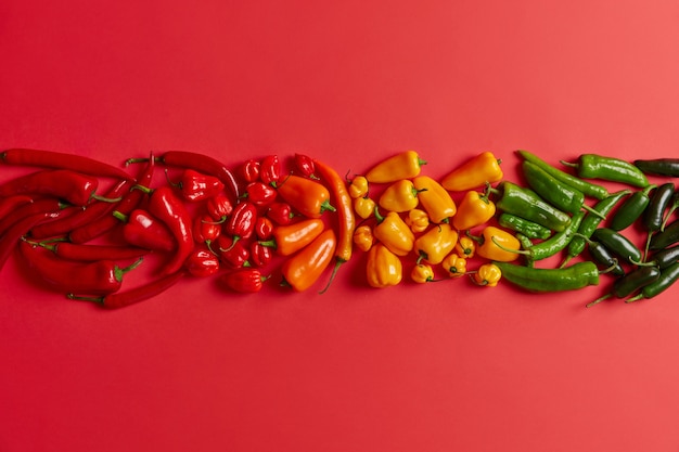 Bezpłatne zdjęcie pojedyncze ujęcie czerwony, żółty, zielony, papryka chili ułożone w jednym rzędzie na jasnym czerwonym tle. różnorodność pikantnych, zdrowych warzyw do przygotowania smacznych gorących dań lub przypraw. kreatywna kompozycja.