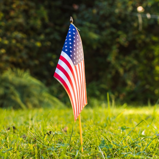 Pojedyncze usa amerykańską flagę na zielonej trawie w parku