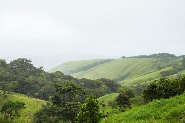 Pokojowa zielona góra w tropikalnym costa rica