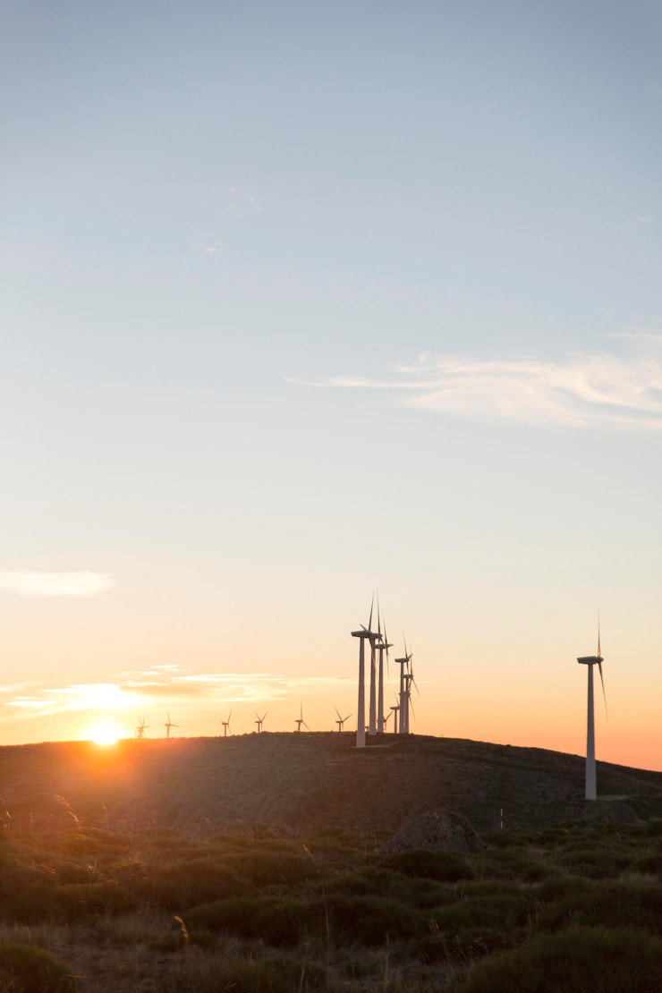 Bezpłatny plik Zdjęcie pola farm wiatrowych