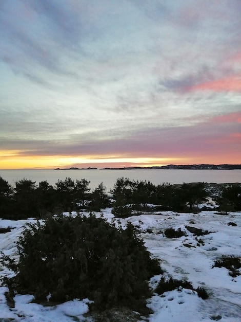 Bezpłatne zdjęcie pole pokryte zielenią i śniegiem otoczone wodą pod zachmurzonym niebem podczas zachodu słońca