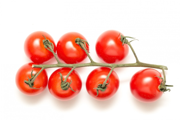 Pomidor gałąź zakończenie up odizolowywający
