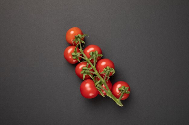 Pomidorowa gałąź odizolowywająca na popielatym