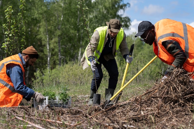 Ponowne zalesienie wykonane przez grupę wolontariacką