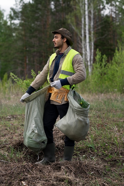 Ponowne zalesienie wykonane przez grupę wolontariacką