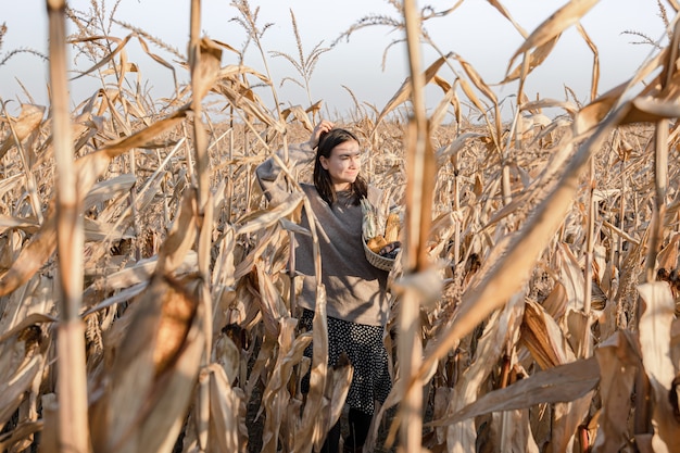 Portret atrakcyjnej młodej kobiety w jesiennym polu kukurydzy wśród suchych liści ze zbiorami w dłoniach.