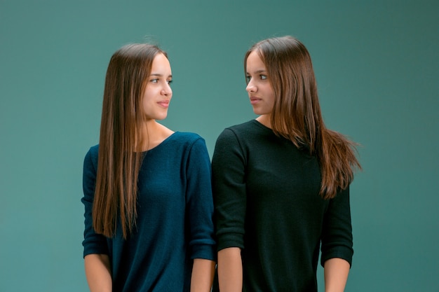 Portret dwóch pięknych bliźniaczych młodych kobiet