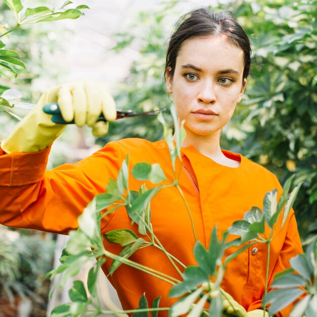 Portret piękna młoda żeńska ogrodniczka przycina rośliny z secateurs
