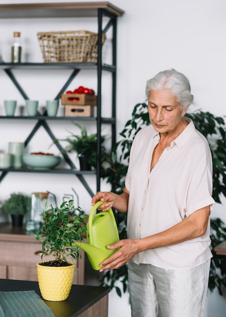 Portret Starsza Kobieta Nawadnia Rośliny W Domu