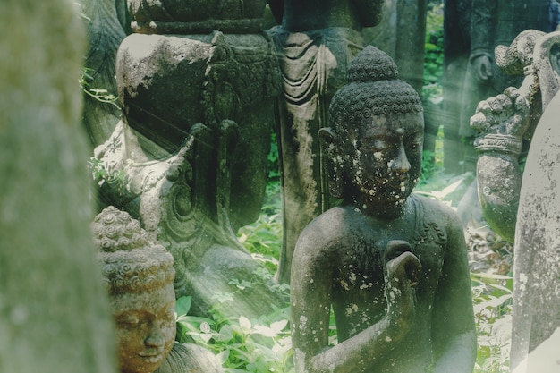 Posągi buddy ukryte w liściach tropikalnej dżungli z mgłą o poranku